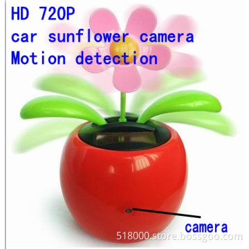 car sunflower camera